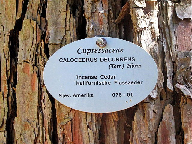 Хорватия: Стон, Трстено, Корчула — радости и гадости природы. Дарья Письменюк / Darya Leitstern — фотограф, музыкант, журналист, путешественник