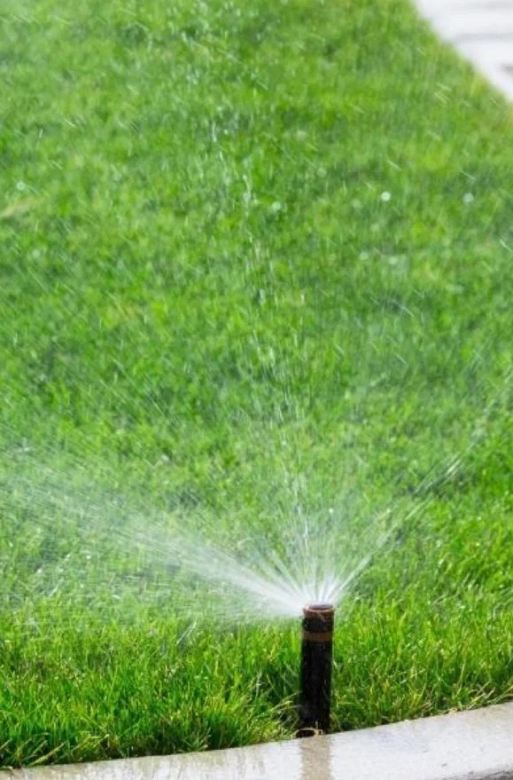 Устройство заборов Ленинградская область и Санкт-Петербург, заказать забор в Петербурге, устройство заборов в Петербурге, строители в Петербурге, сделать забор в Ленинградской области, сделать забор в Пушкине, заказать забор в Павловске, Заказать забор на дачу ЛО, строители ЛО, построить дом в петербурге, построить дом пушкин, строительная бригада в пушкине, построить дом в пушкине, построить дом в павловске, дом из газобетона в павловске, дом из газобетона в пушкине, строительство домов СПБ, укладка тротуарной плитки в Ленобласти, укладка тротуарной плитки в Пушкине, укладка тротуарной плитки в Петербурге, заказать тротуарную плитку на дачу, уложить тротуарную плитку, Ленобласть, Гатчинский район, Пушкин, Тосненский район, Павловск, благоустройство загородных участков в Ленинградской области, сделать дренаж на участок в павловске, сделать дренаж на участок в пушкине, сделать  ливневую канализацию на участок СПБ, сделать дренаж на участок в Ленобласти, сделать ливневую канализацию в Пушкине, сделать  ливневую канализацию на участок в Петербурге, сделать дренаж на участок в павловске, сделать автополив участка в пушкине, сделать автополив участка в СПБ, сделать автополив участка в Ленобласти, автополив участка в Пушкине, автополив участка в Петербурге