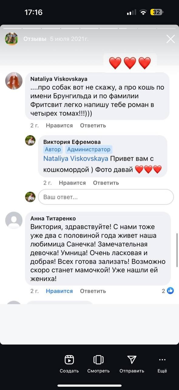 Фритсвит. Семейный фотограф Ефремова Виктория