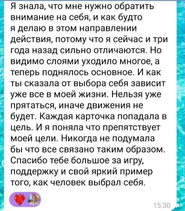 Анна Нечаева. Исследовательская игра ЗЕМЛЯНИН в Перми, Москве, Сочи, и других городах