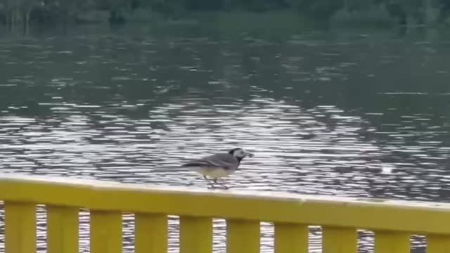 Монтаж (ваших) архивных видео и фото. Семейный видеограф в Москве и Домодедово Абрамова Виктория