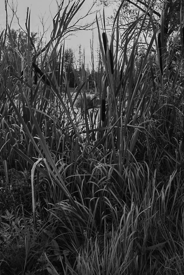 Sedimentation. Пылина Ирина — современная фотография