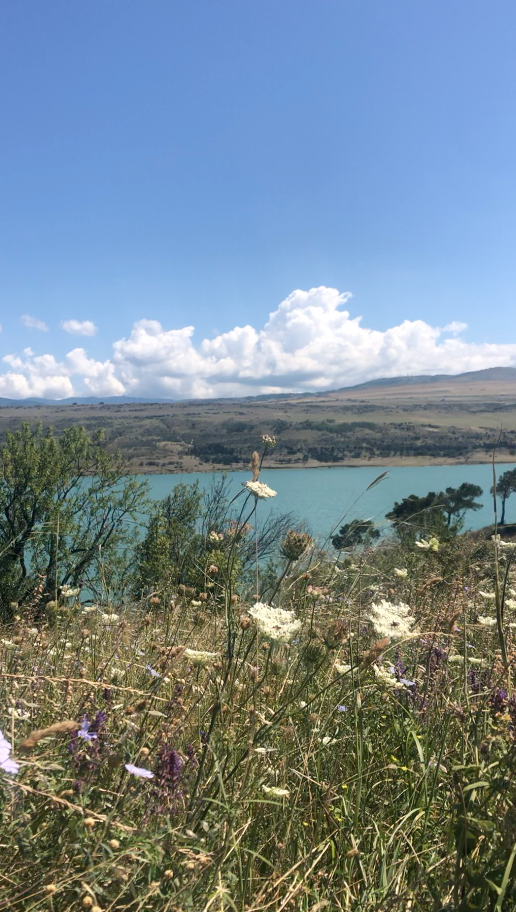 Грузия 🇬🇪. Anita_photo