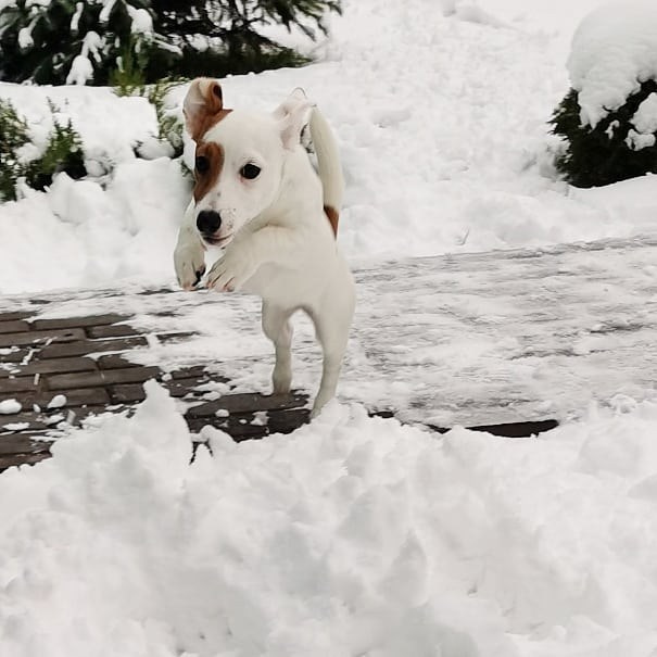 Anka`s Instagram. Заставка