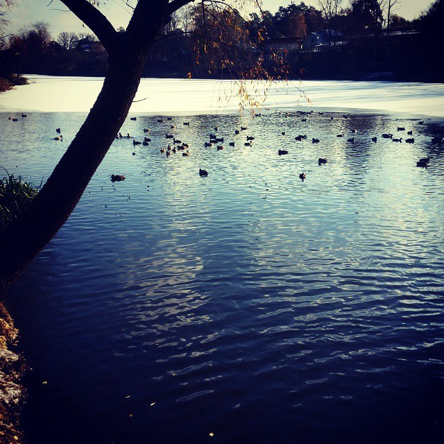 Bashnin instagramm. Заставка