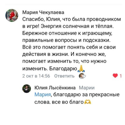 Юлия Лысёнкина. Исследовательская игра ЗЕМЛЯНИН в Перми, Москве, Сочи, и других городах