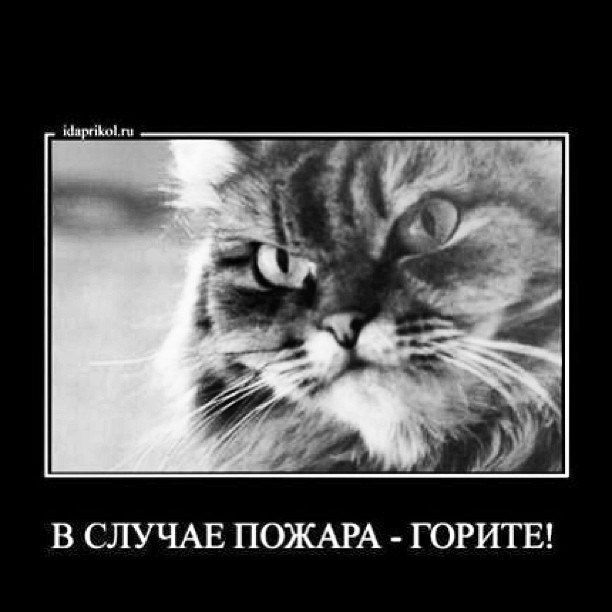 Bashnin instagramm. Заставка