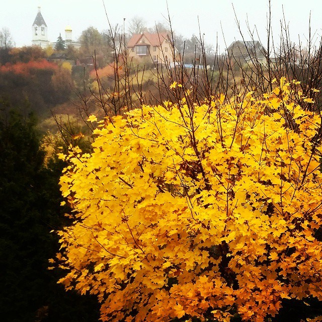 Bashnin instagramm. Заставка