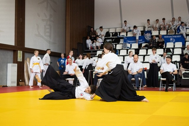 Галлерея. АйкидоТатарстан