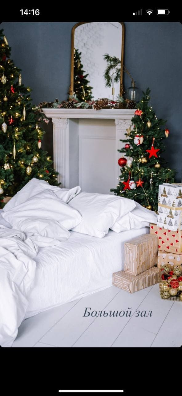 Зал Большой фотостудия Фэмили, аренда 1800 руб./час. Классный фотограф Красноярска Васильева Ирина