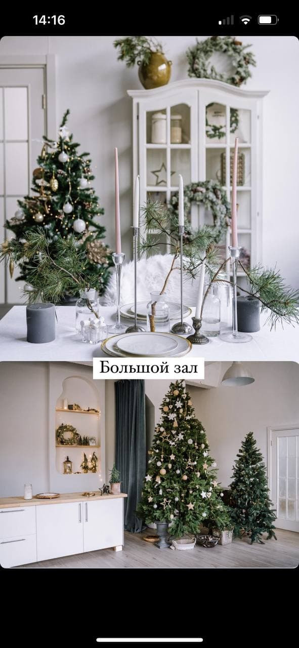 Зал Большой фотостудия Фэмили, аренда 1800 руб./час. Классный фотограф Красноярска Васильева Ирина