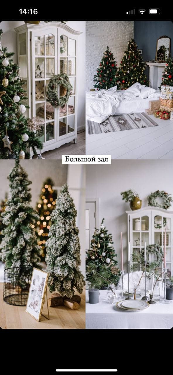 Зал Большой фотостудия Фэмили, аренда 1800 руб./час. Классный фотограф Красноярска Васильева Ирина