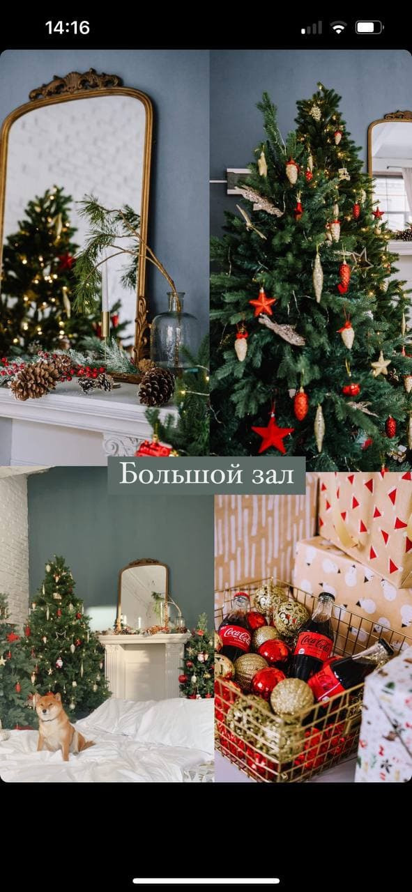 Зал Большой фотостудия Фэмили, аренда 1800 руб./час. Классный фотограф Красноярска Васильева Ирина