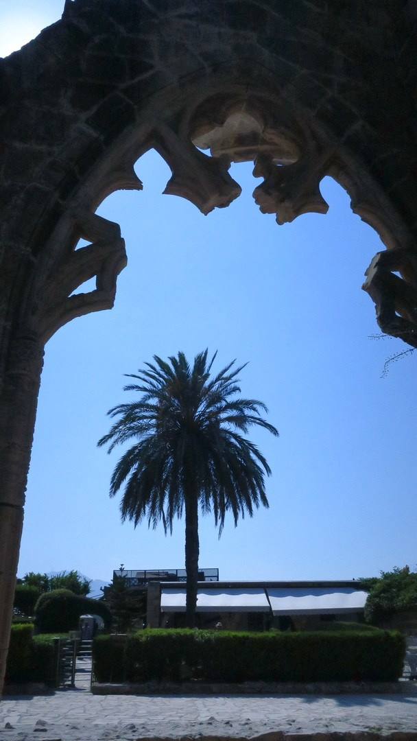 Кипр 2019 г. Улица, люди, жизнь…