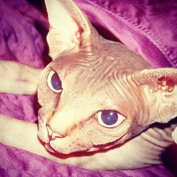 Мы с детьми сборник 1000 фото первая часть. Заставка