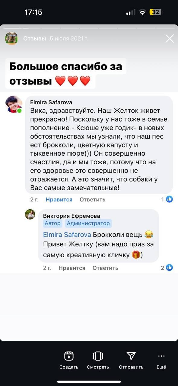 Фритсвит. Семейный фотограф Ефремова Виктория