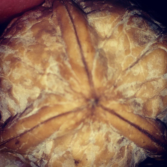 Bashnin instagramm. Заставка