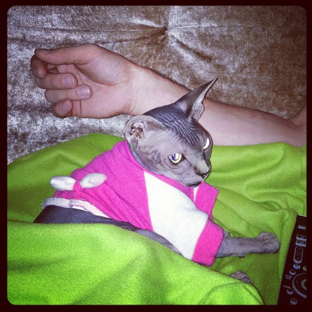 Мы с детьми сборник 1000 фото первая часть. Заставка