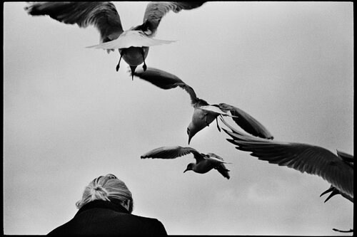 Сирил Дрюар — французский фотограф и архитектор