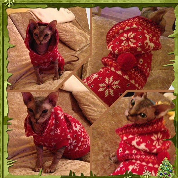 Мы с детьми сборник 1000 фото первая часть. Заставка