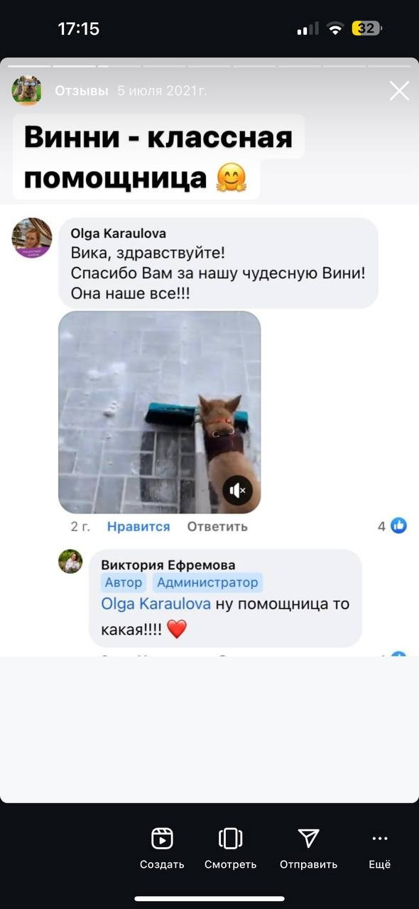 Фритсвит. Семейный фотограф Ефремова Виктория