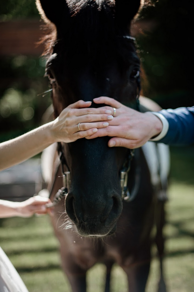 Площадка №  4-2. Свадебный и портретный фотограф Москва