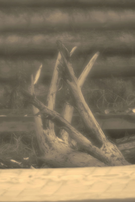 Летопись музея. Новое Старое — русское деревянное зодчество