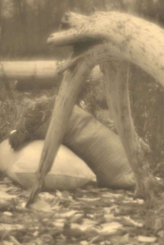 Летопись музея. Новое Старое — русское деревянное зодчество