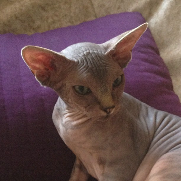 Мы с детьми сборник 1000 фото первая часть. Заставка