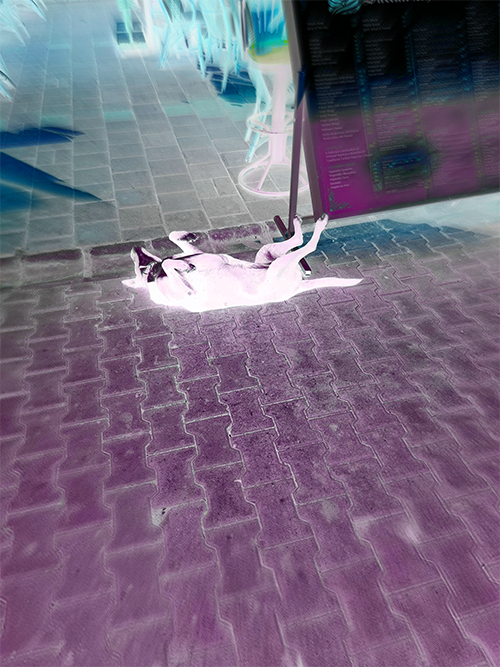 HEROES. VISUAL ARTIST