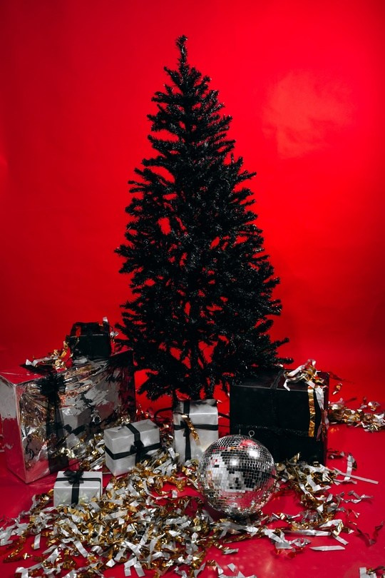 Art Prospect — Декорации. Лидия Фотограф Воронеж