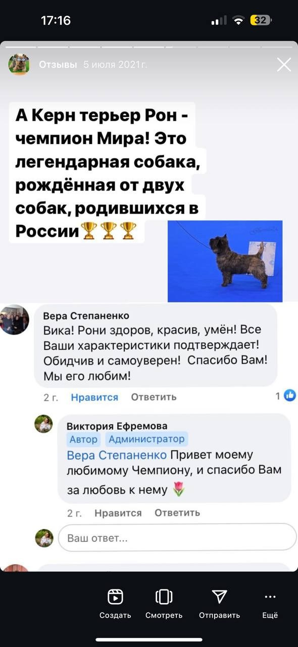 Фритсвит. Семейный фотограф Ефремова Виктория