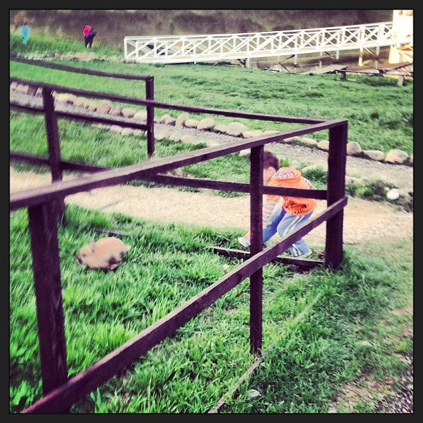 Мы с детьми сборник 1000 фото первая часть. Заставка