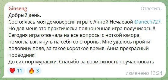 Анна Нечаева. Исследовательская игра ЗЕМЛЯНИН в Перми, Москве, Сочи, и других городах