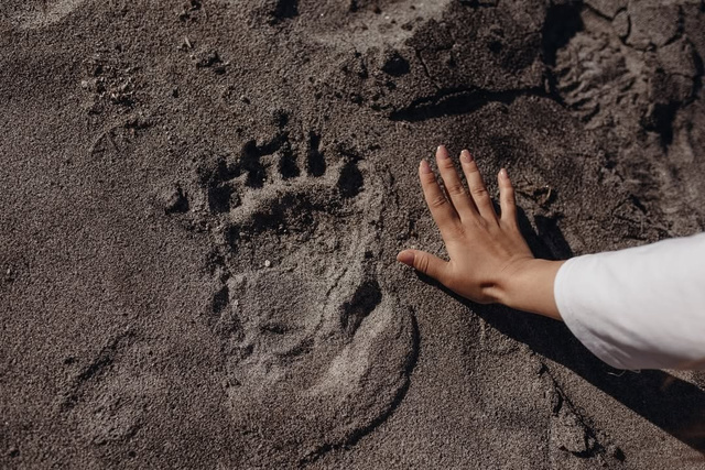 Фрахт лучших судов