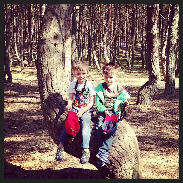 Anka`s Instagram. Заставка