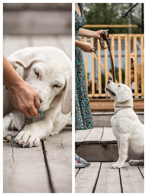 Иншала и Сирена. Фотограф-АниМалист Анна Абрамова