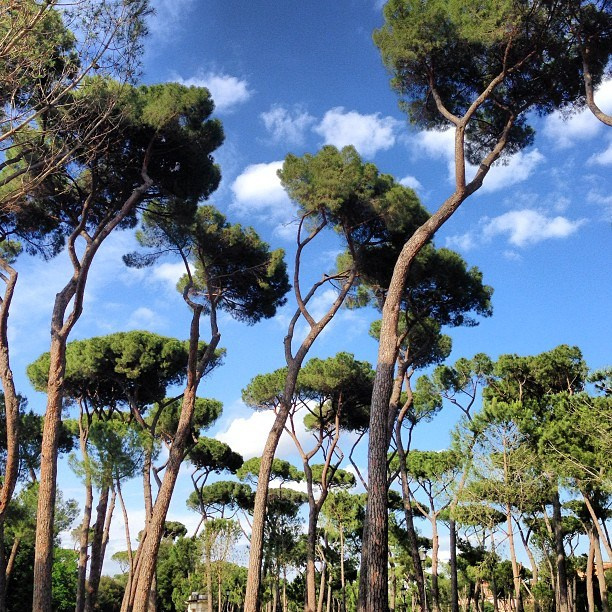 Мы с детьми сборник 1000 фото первая часть. Заставка