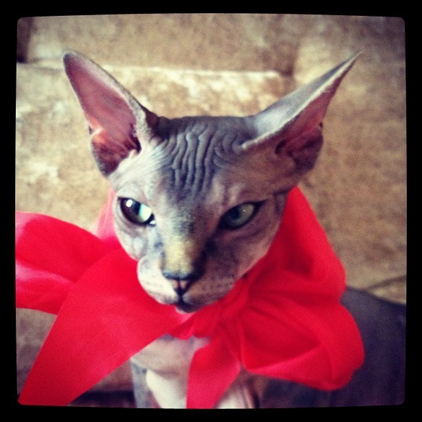 Мы с детьми сборник 1000 фото первая часть. Заставка