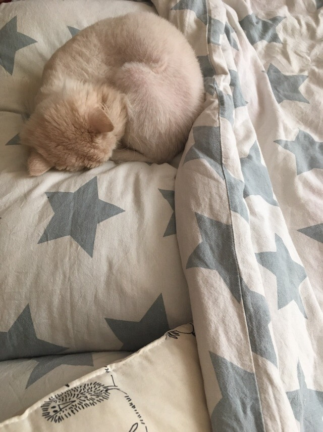 Мои детки. Кучерявая || Фотограф || Самара·Питер·Москва