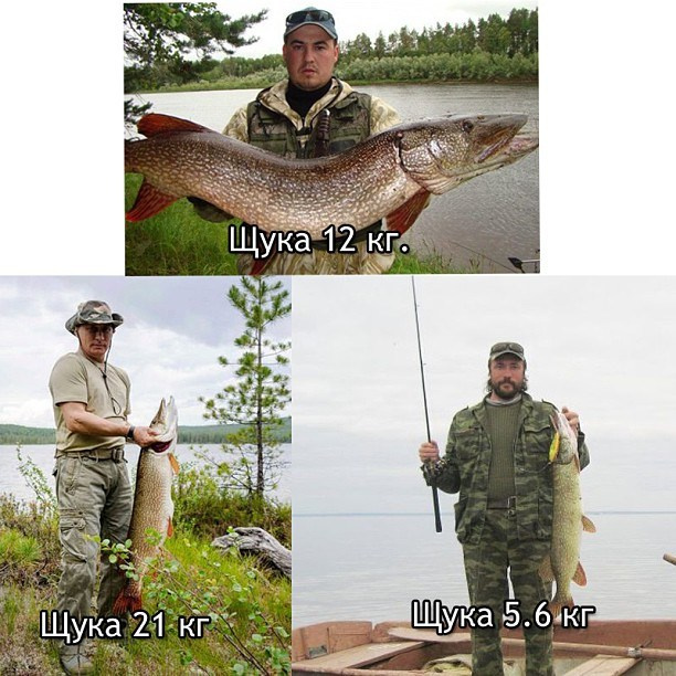 Bashnin instagramm. Заставка