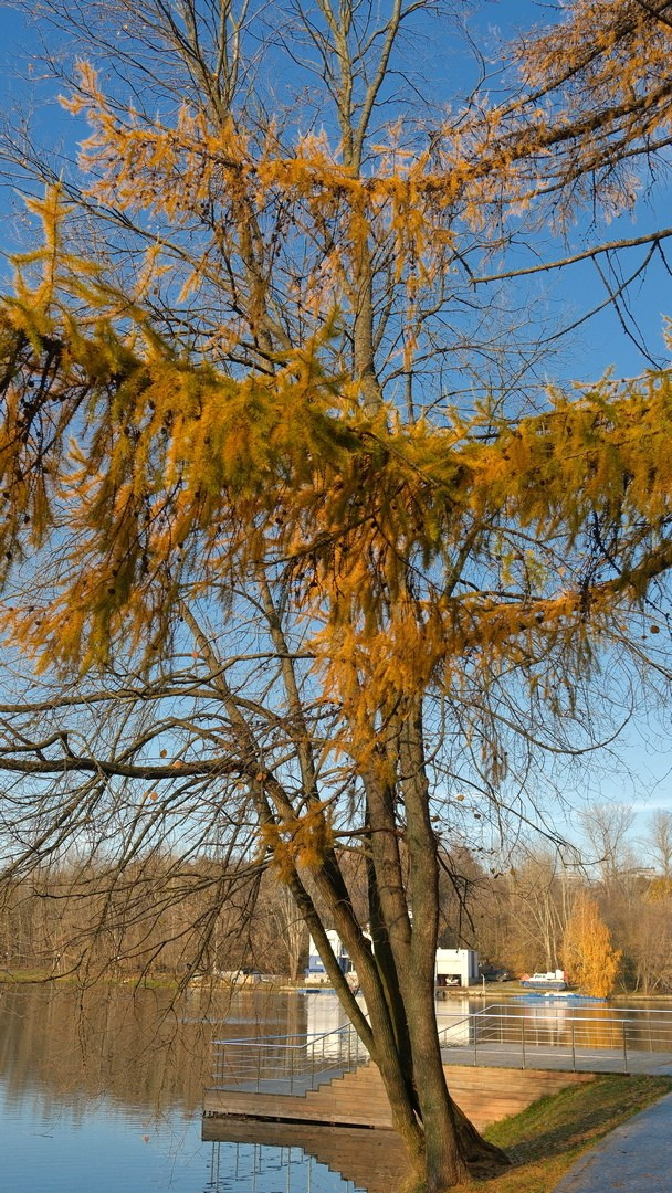 Люблинский парк 2023. Улица, люди, жизнь…