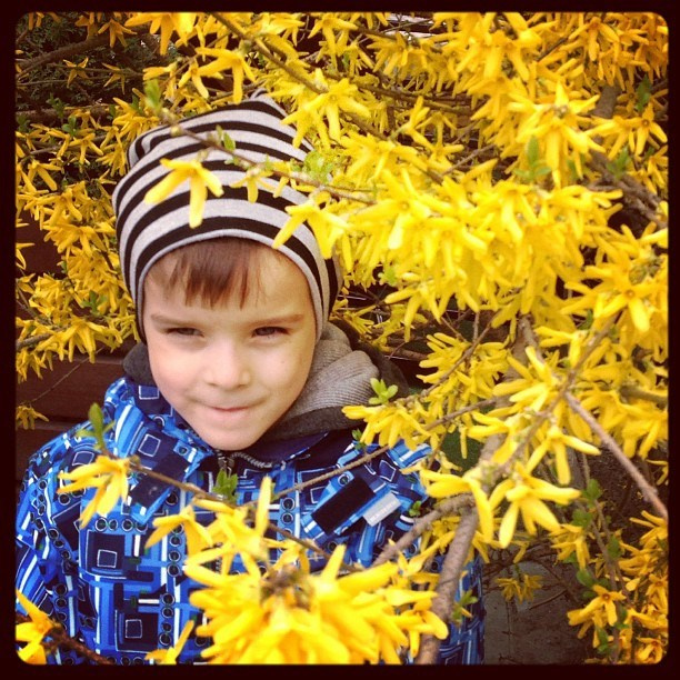 Anka`s Instagram. Заставка