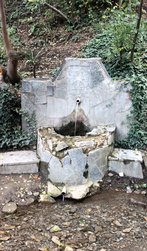 Черепашье озеро. Anita_photo