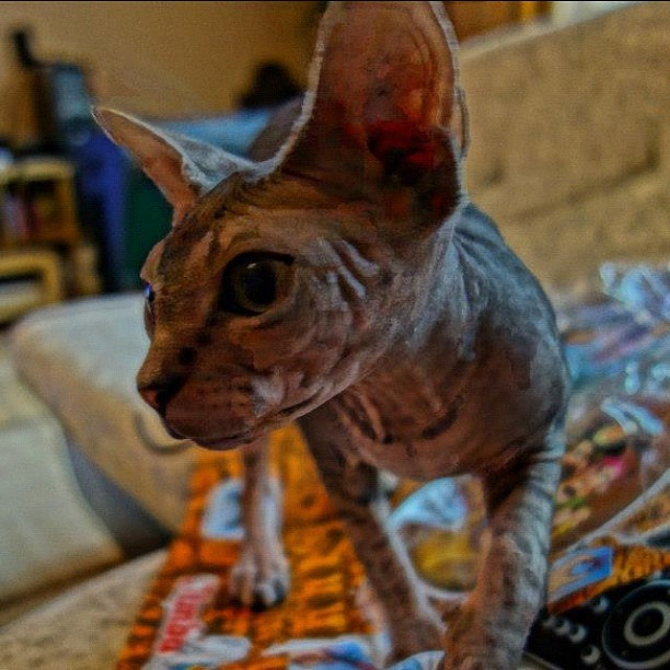 Мы с детьми сборник 1000 фото первая часть. Заставка