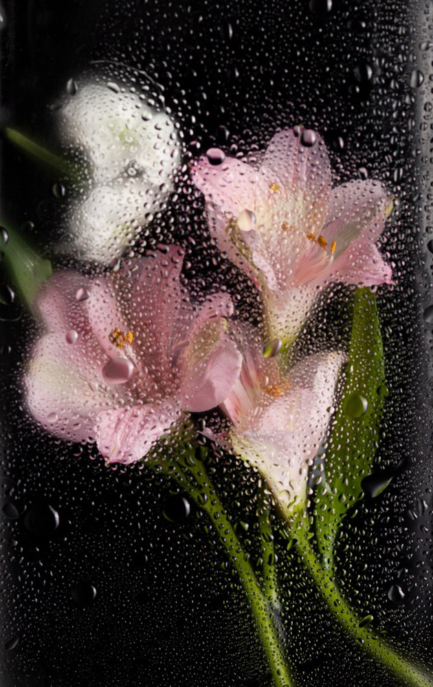 Фотокниги. Холсты. Печать