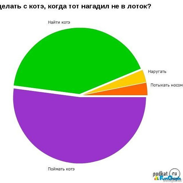 Bashnin instagramm. Заставка