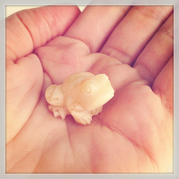 Мы с детьми сборник 1000 фото первая часть. Заставка