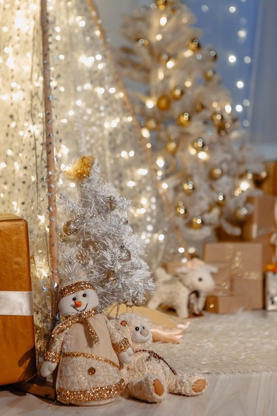 Art Prospect — Декорации. Лидия Фотограф Воронеж