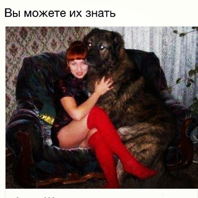 Bashnin instagramm. Заставка